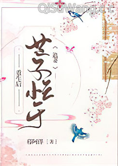 重生后世子忙于追妻