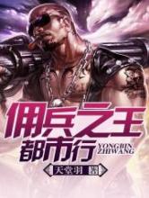 佣兵之王都市行