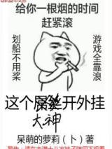 这个大神开外挂