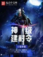 神级建村令