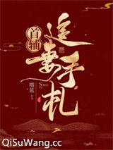 首辅追妻手札