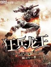 狂兵龙王