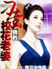 我的刁蛮校花老婆