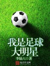 我是足球大明星