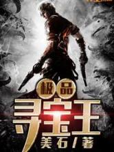 极品寻宝王