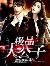 极品大公子