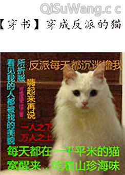 穿成反派的猫