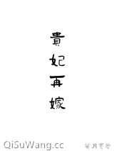 贵妃再嫁