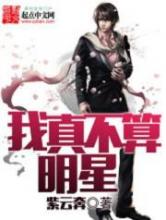 我真不算明星