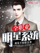 全职业明星系统