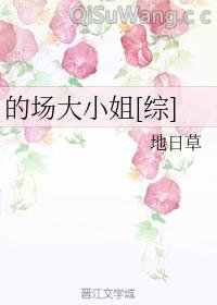 的场大小姐[综]