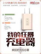 我的狂暴充电器