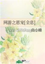 网游之恩宠