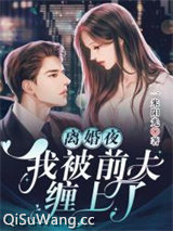 离婚夜，我被前夫缠上了