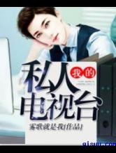 我的私人电视台