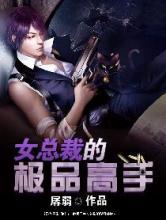 女总裁的极品高手