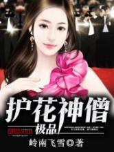 极品护花神僧