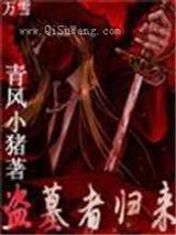 鬼吹灯同人小说盗墓者归来