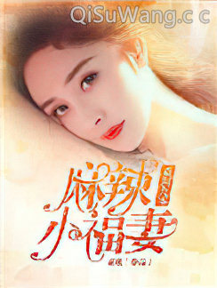 重回九零麻辣小福妻