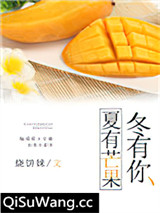 夏有芒果冬有你