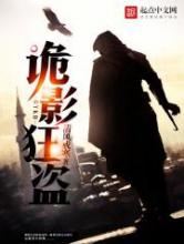 诡影狂盗