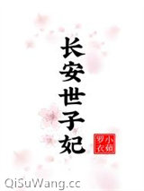 长安世子妃