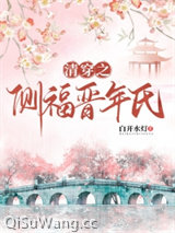 清穿之侧福晋年氏