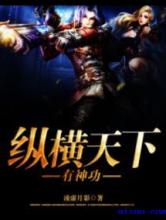 纵横天下有神功