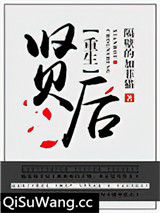重生之贤后
