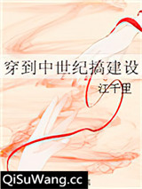 穿到中世纪搞建设