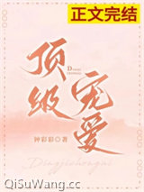 顶级宠爱