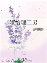 嫁给理工男
