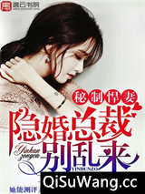 秘制悍妻：隐婚总裁别乱来