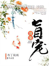 盲宠