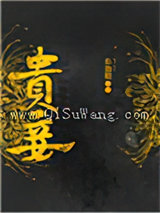 贵妾