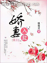 娇妻入瓮