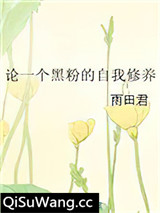 论一个黑粉的自我修养