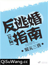 反逃婚指南[星际]