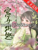 宫女出逃以后