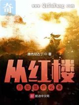 从红楼开始拯救名著