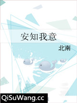 安知我意