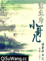重生为小哥儿