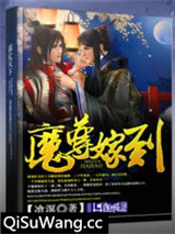 魔尊嫁到