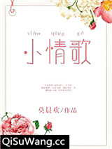 小情歌