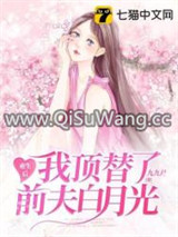 重生后我顶替了前夫白月光