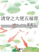 清穿之大佬五福晋