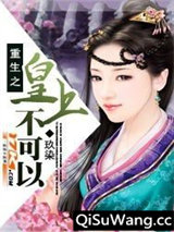 重生之皇上不可以