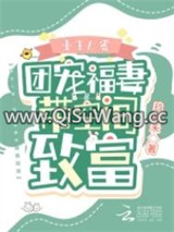 重生八零：团宠福妻带空间致富