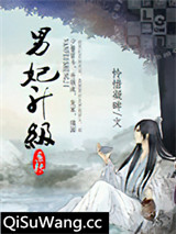 男妃升级系统