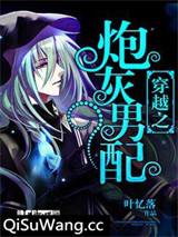穿越之炮灰男配